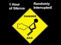 1 Hour Of Silence Randomly Interrupted By Farts