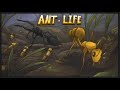 Menu Screen - Ant Life by Tellygum