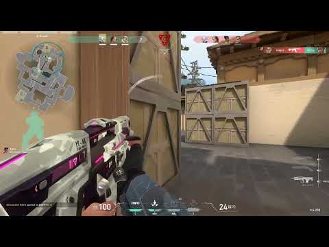 Protocol bulldog is just too good 3K