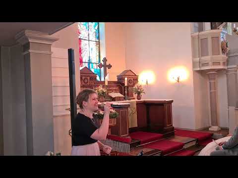 Ein Traum wird wahr- Aladdin Hochzeitsversion Hochzeitssängerin Lübeck Cover