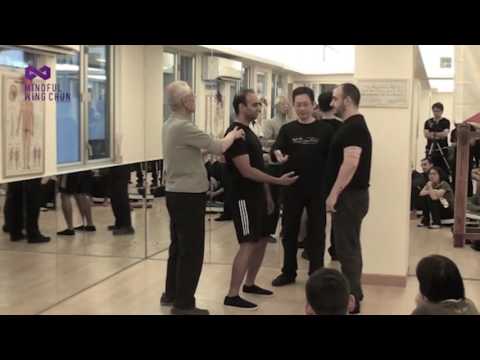 Wing Chun POWER development - simultaneous joint movements