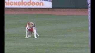 На бейсболе