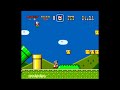 SMW Custom Level Stuffing Fields