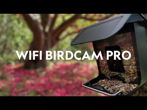 NatureSpy WiFi BirdCam Pro Feeder