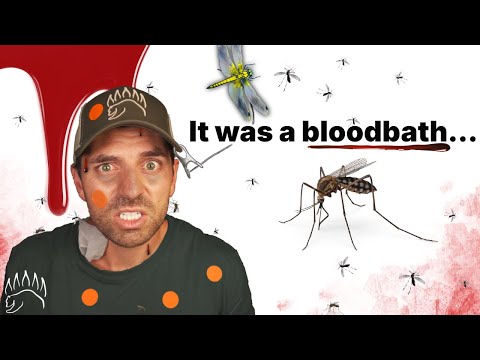 I tested the Internet’s most popular Mosquito Repellents.