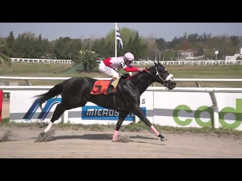 230901 c01  - BIG MOON - HIPODROMO LAS PIEDRAS