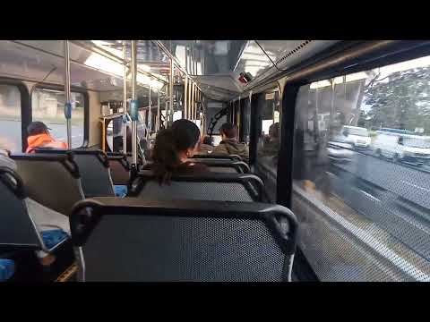 Interline - 7041 - Volvo B8RLE/Bustech VST Mark 4[Leppington](866 - Casula Mall)