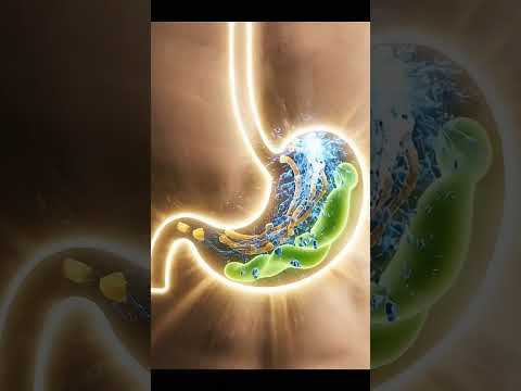 What Happens to Your Stomach After Eating Sushi 🍣 | Health Facts Short   #healthtips #viral