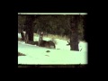 Rumspringa - Minds Awake 
