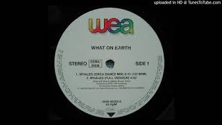 What On Earth ‎– Whales (Chill Out From Pole To Pole)