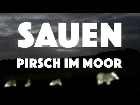 Sauenpirsch nachts im Moor – Schwarzwild mit Wärmebildvorsatzgerät jagen