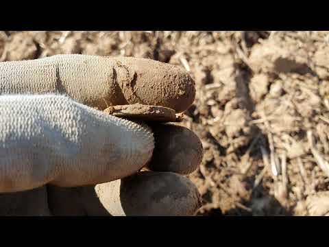 Einfach nur sondeln Teil 5 /sondeln mit dem Xp Orx