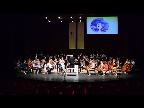 Dagjournaal IVC 15 september 2018