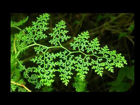 Samian ft. Marieme - Regarde ailleurs(Suduaya remix)