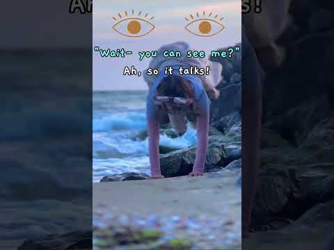 At the cemetery - Madylin mei  #melaniemartinez #furry #therian #quads #edit #therianthropy