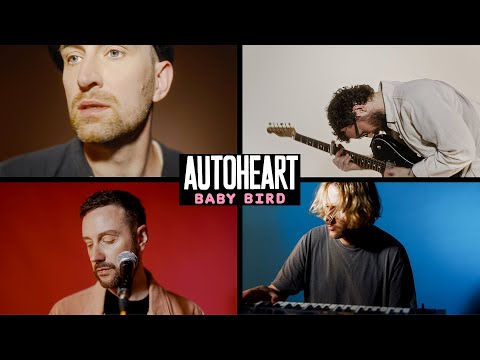 Autoheart - Baby Bird (Visualiser)