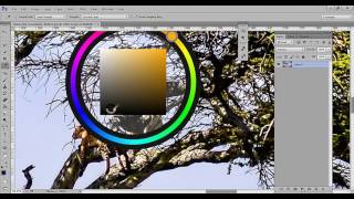 Photoshop damlalık aracını kullanma, temel photoshop dersleri