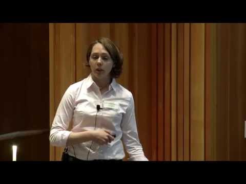 Hepatitis B Virus X Protein Degrades the Host Smc5/6 Complex to Promote Viral Transcription