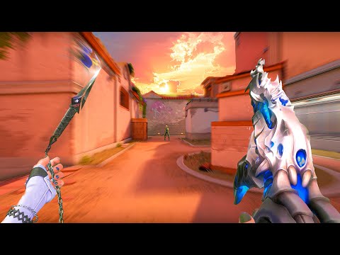 Primordium Vandal is Actually S-Tier