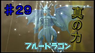 【BLUE DRAGON】ブルードラゴン　実況　♯29