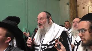 הגר