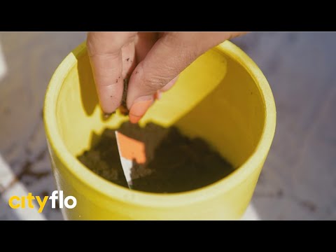 200 new plants in Thane | Republic Day 2021 | Cityflo