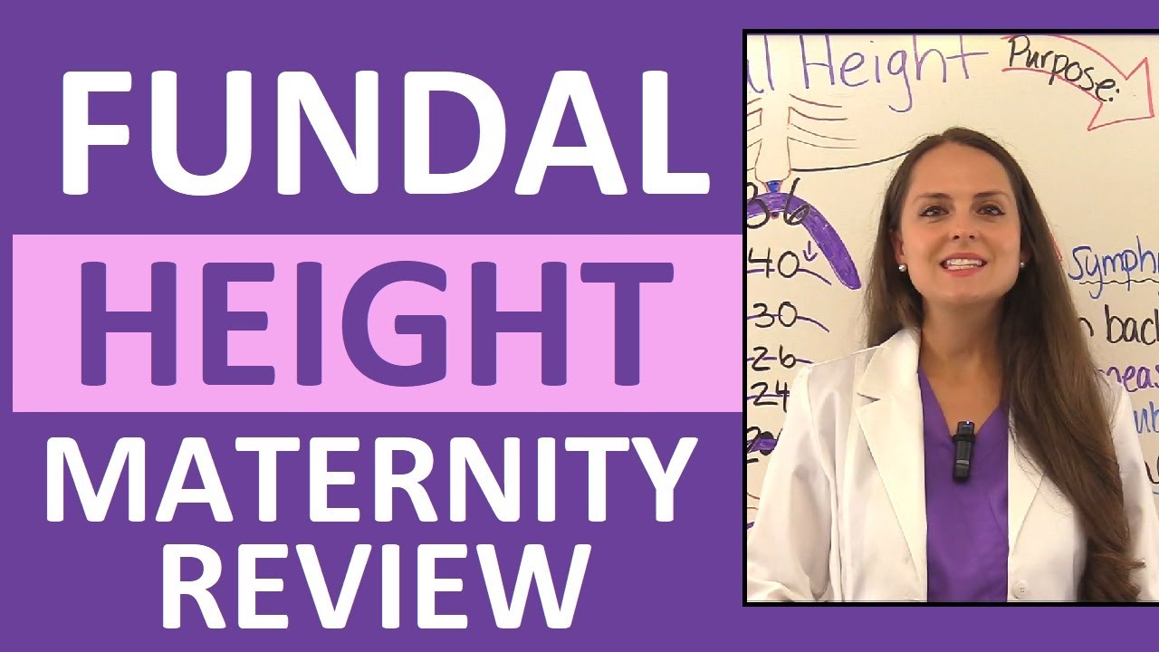 What does fundal height tell you? Tipseri