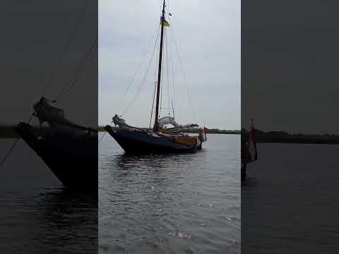 Video van Vreedenburgh Schokker 10.75
