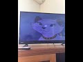 Opening To Winnie The Pooh And The Honey Tree 1995 Australian VHS