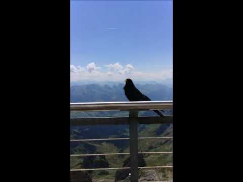 William Byrd(1543-1623): "...noctem verterunt in diem et rursum post tenebras..."  Libera me (1575)