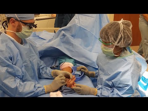 The University of Florida Upper Extremity Fellowship Program