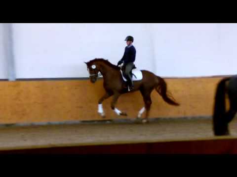 Don Juans Duvetico im 50 TT