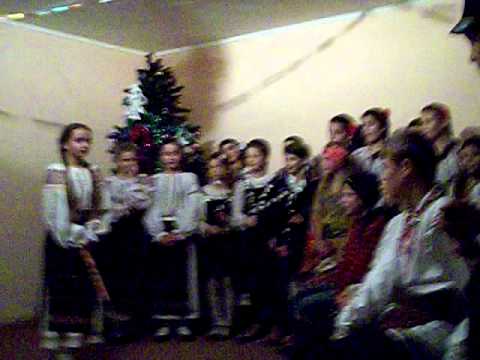 garcea in devenire(s.Poganesti)