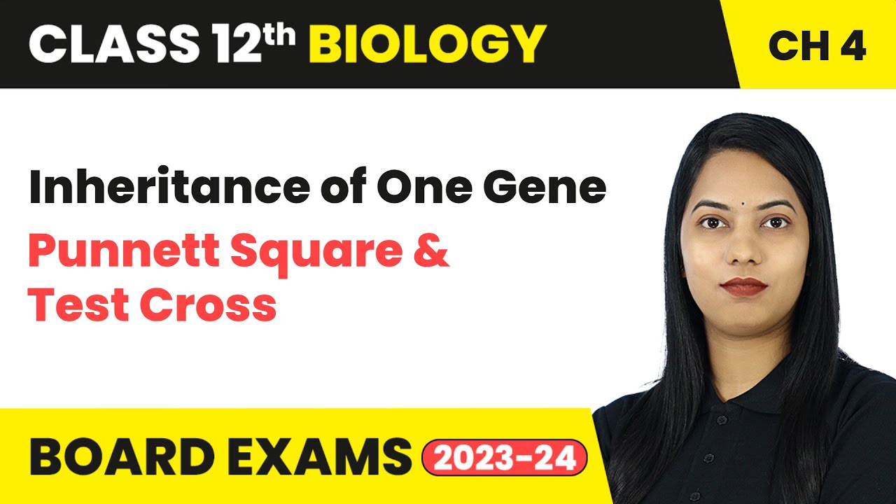 Inheritance of One Gene Punnett Square & Test Cross | Class 12 Biology Chapter 4 | CBSE 2024-25