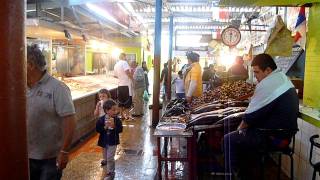 Fish Market 1