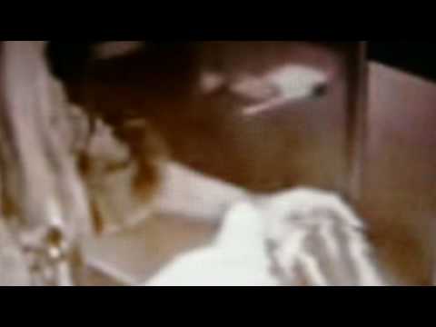 Fatigued Owl The KEY