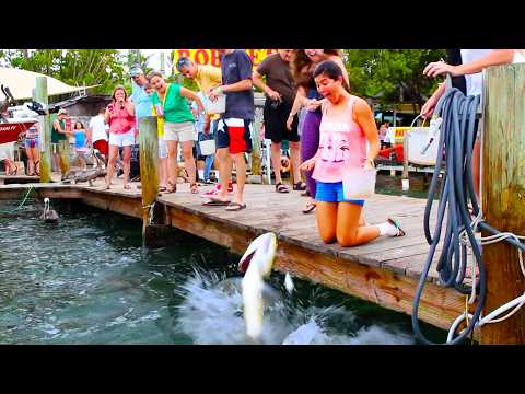 FUNNIEST Animal Videos Ever | AFV Wild Animals Encounters Caught on Camera