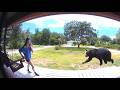 FUNNIEST Animal Videos Ever AFV Wild Animals Encounters Caught On Camera