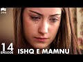 Ishq e Mamnu - Episode 14 | Beren Saat, Hazal Kaya, Kıvanç | Turkish Drama | Urdu Dubbing | RB1Y