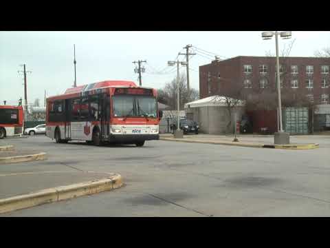 Nassau Resumption Of Bus Service