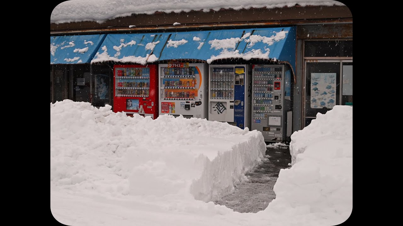 大雪の金沢 - Nikon Zf /  NIKKOR Z 24-50mm f/4-6.3
