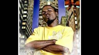 Dank Smoke ft. Sticky Fingaz - N My City