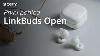Sony LinkBuds Open WF-L910B černá