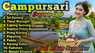 Download lagu CAMPURSARI SRAGENAN KOPLO TERBARU BASS GLERR || FULL ALBUM CAMPURSARI KOPLO TERBARU  mp3