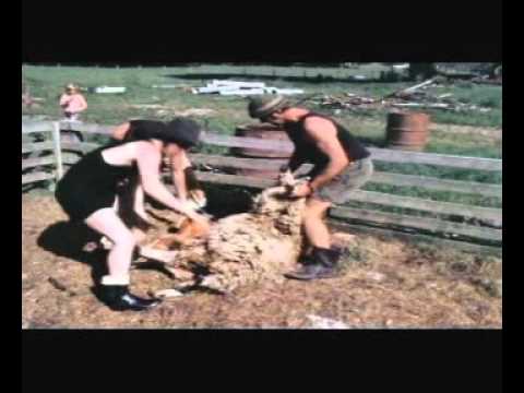 The Dagg Sea Scrolls