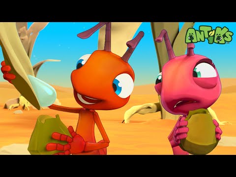 A Grande Seca! 🐜 MARATONA DE ANTIKS BRASIL! 🐜 Desenhos Animados Infantis em Português