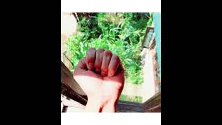 Download lagu Islamic names of fingers #Aameen #Amanat #Jannat #Shahadat #Farz @learnmath's mp3