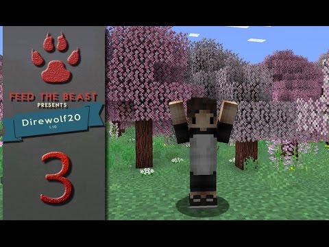 FTB Direwolf20 Ep03 Actually Additions