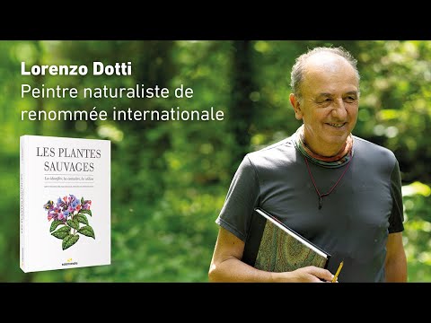 Lorenzo Dotti - Le géranium herbe à Robert