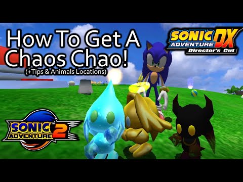 How To Get A Chaos Chao in Sonic Adventure 2 and DX! (Tips, Animal Locations & More)